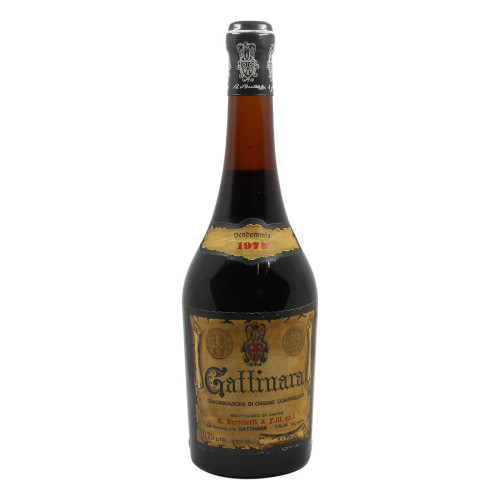 GATTINARA 1973 FRATELLI BERTELETTI